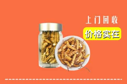 安康市平利回收散虫草