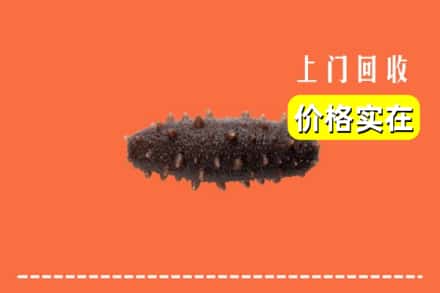 安康市平利回收海参